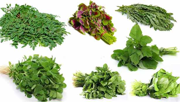 நினைவாற்றலை பெருக்கும் திறன் கொண்டது இந்த கீரை .