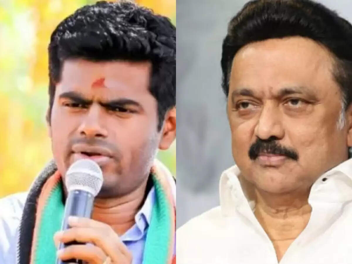 “திமுக ஆட்சியை இழக்க நேரிடும்” – அண்ணாமலை எச்சரிக்கை