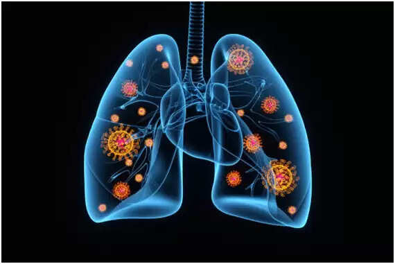 எந்தெந்த நோய் எப்ப தாக்குமோன்னு ‘திக் திக்’ னு இருக்கிறவங்களை காக்கும் சுக்கு