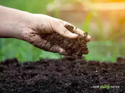 மண் எனும் மகத்துவோம்!