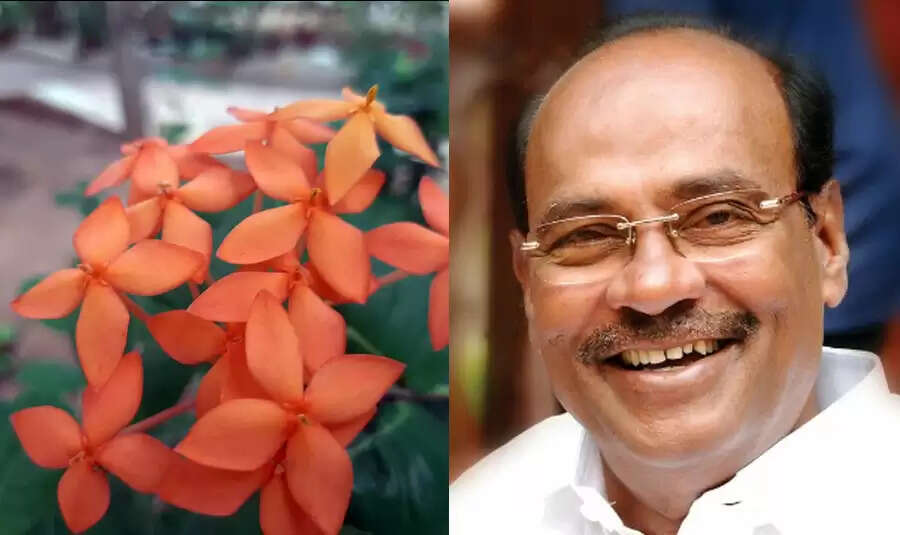 சீதையின் அசோகா மலர் முதல் இட்லி பூ வரை… தொடரும் ராமதாசின் பூக்கள் ட்வீட்