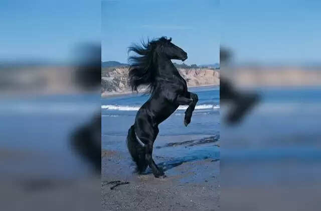 உடலுக்கு குதிரை பலம் தரும் சித்தர்களின் மூலிகைகள்