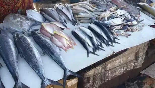 காசிமேடு மீன்பிடி தளத்தில் இன்று முதல் சில்லறை விற்பனைக்கு தடை!