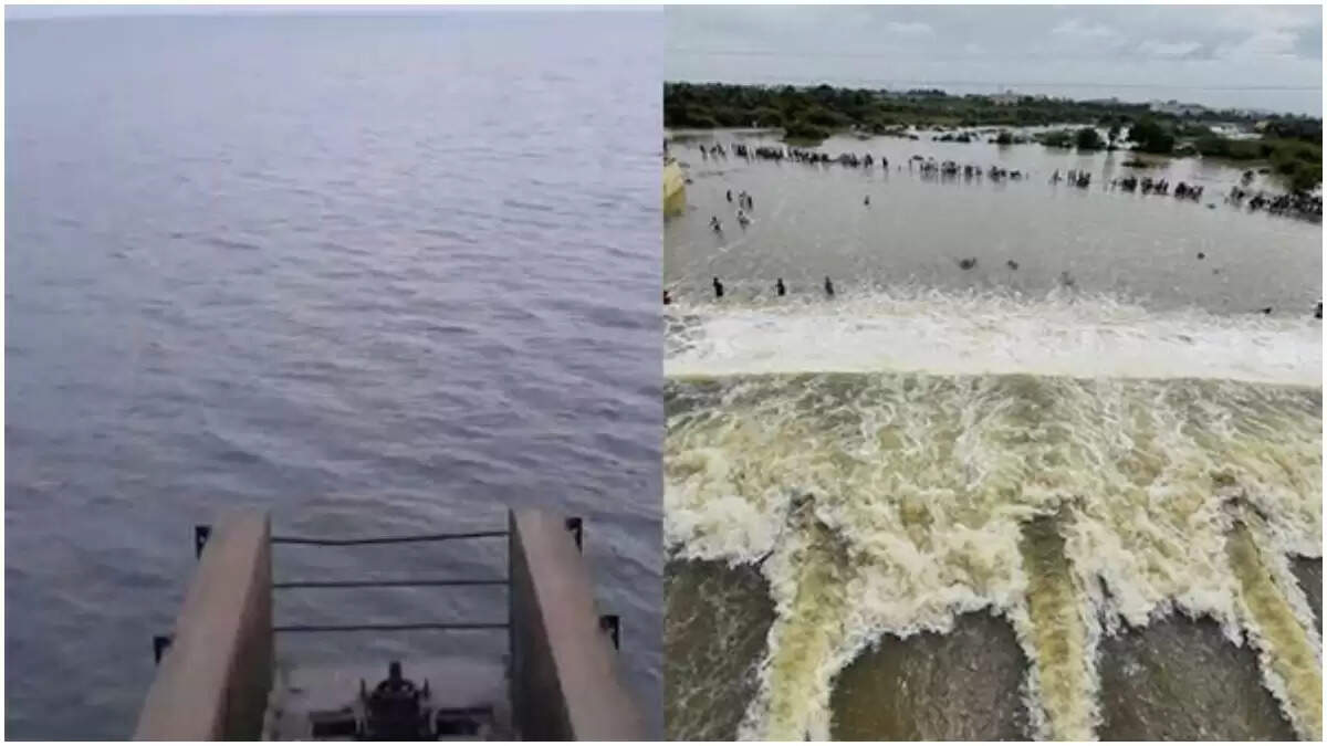 அடையாறு