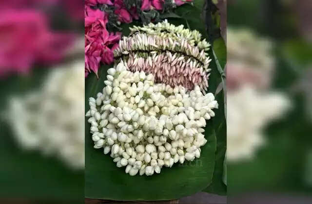 எந்தெந்த தெய்வத்திற்கு எந்தெந்த பூக்களால் அர்ச்சனை செய்ய வேண்டும்?அர்ச்சனை பூக்களின் அருமைகள்!