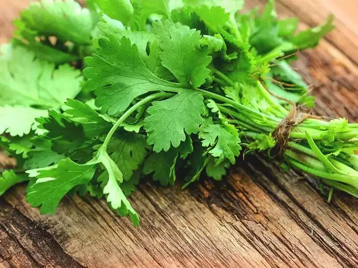 கொசுறாக வாங்கும் கொத்தமல்லியில் இவ்வளவு நன்மைகளா!!!