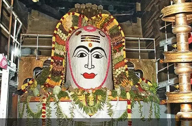 கங்கை கொண்ட சோழபுரத்தில் பிரகதீஸ்வரருக்கு 100 மூட்டை சாதத்தால் அன்னாபிஷேகம்