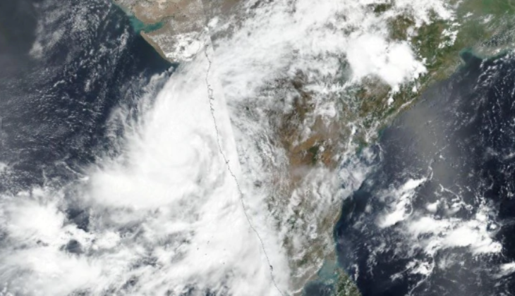 Popular director&rsquo;s car escapes without damage after a tree topple over during the cyclone