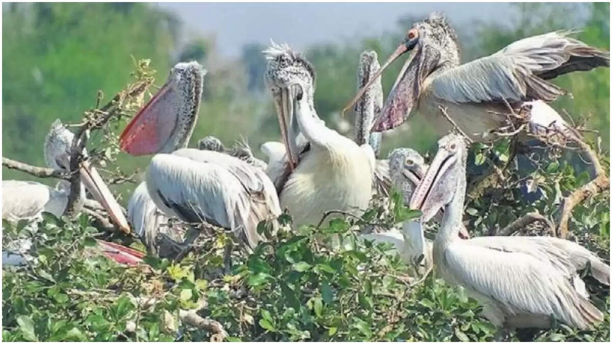 #TNBudget2023: ரூ.1000 கோடி செலவில் வடசென்னை வளர்ச்சி திட்டம்..