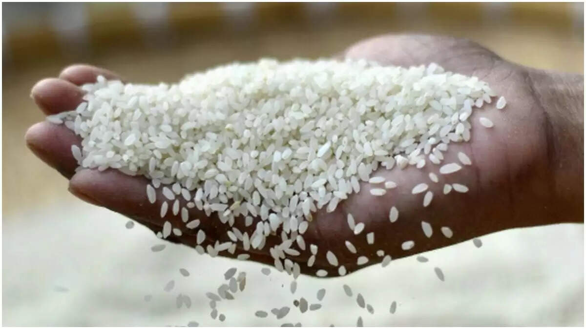 மேற்கு வங்கத்தில் வித்தியாசமான பிரச்சாரத்தை தொடங்கும் ஜே.பி. நட்டா… ஒரு கைப்பிடி அரிசி திரட்டும் பா.ஜ.க.