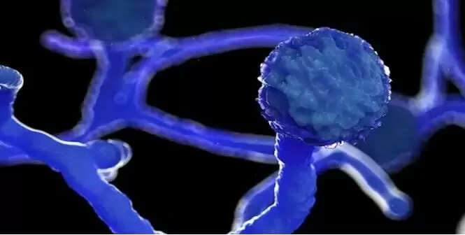 மருத்துவமனை அலட்சியம்… கருப்பு பூஞ்சை நோயால் பாதிக்கப்பட்ட வட்டாட்சியர்!