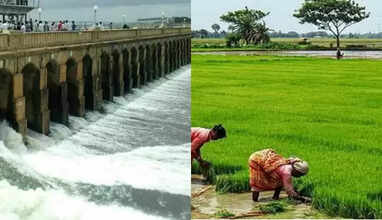 மேகதாது அணை கட்டினால் டெல்டா பகுதிகள் பாலைவனமாகும் - அன்புமணி கவலை.. 