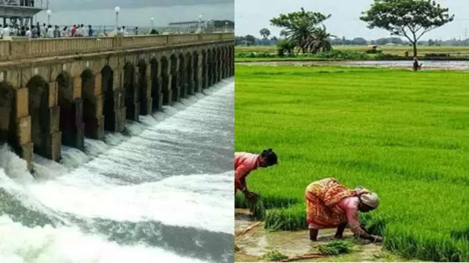 மேகதாது அணை கட்டினால் டெல்டா பகுதிகள் பாலைவனமாகும் - அன்புமணி கவலை.. 