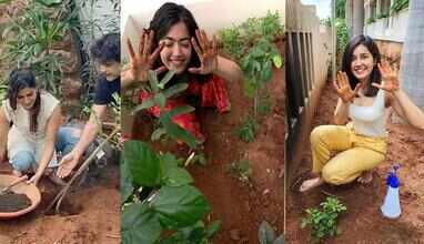 Have a glimpse of celebrities who took the Green India Challenge to a whole new level