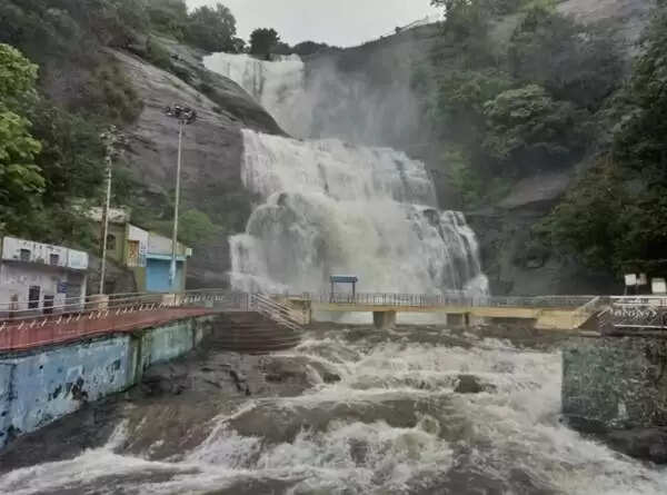 ‘குற்றால அருவியில் சீறிப்பாயும் மழை நீர்’ – 28 ஆண்டுகள் இல்லாத அளவுக்கு கடும் வெள்ளப்பெருக்கு!