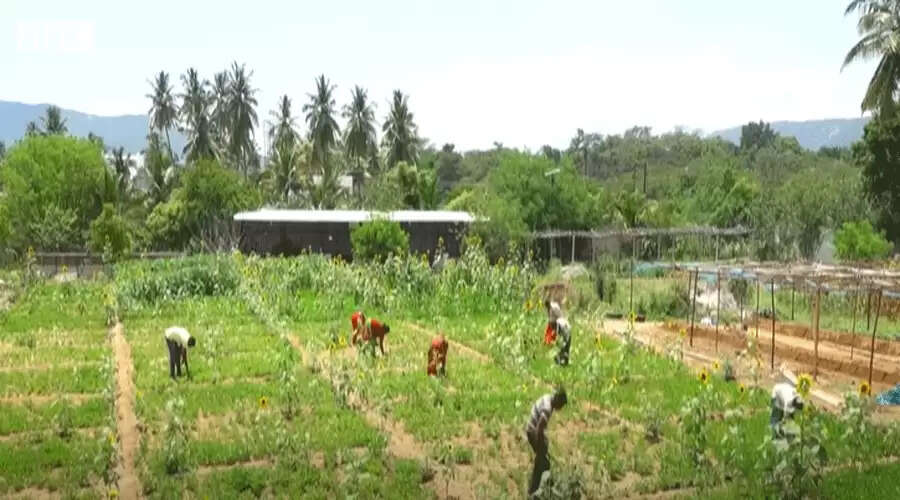 சிப்காட் அமைக்க விளைநிலங்களை கையகப்படுத்தக் கூடாது - அன்புமணி வலியுறுத்தல்..