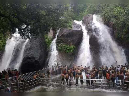 ஹேப்பி நியூஸ்: குற்றால அருவியில் நாளை முதல் குளிக்க அனுமதி!