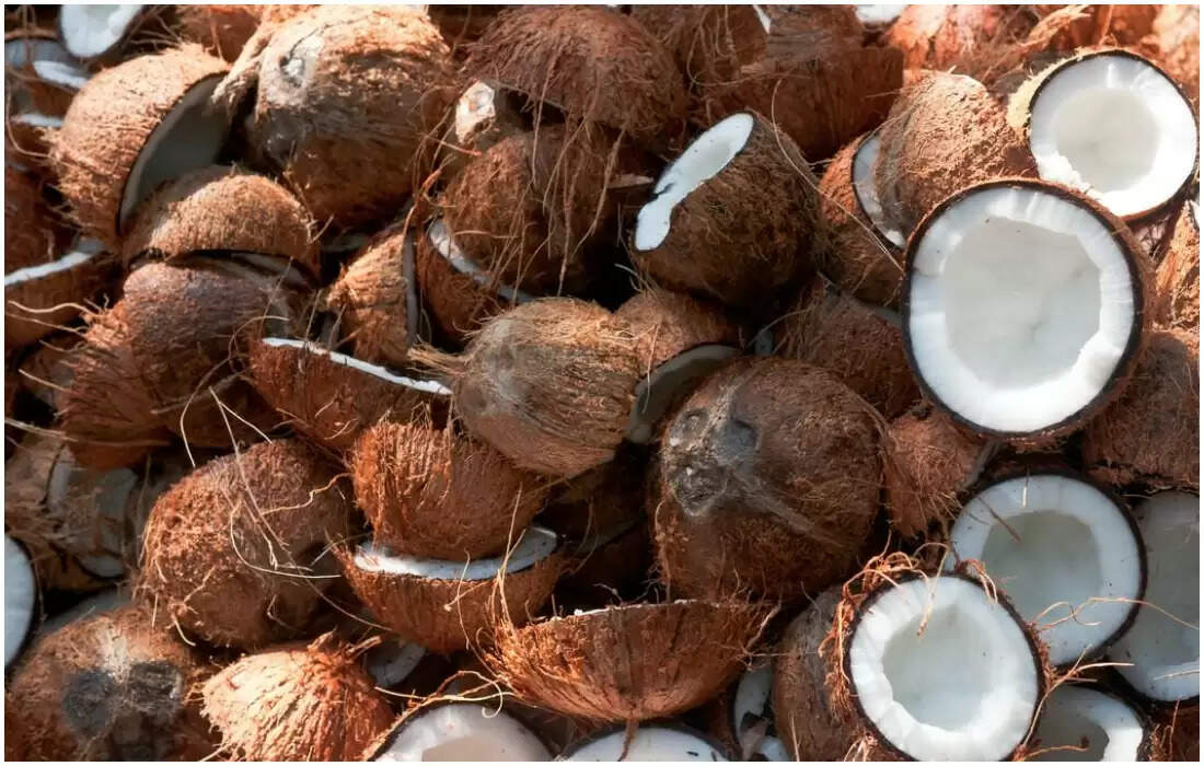 கொப்புரை தேங்காயை அரசே கொள்முதல் செய்யவும் - ஜி.கே.வாசன் கோரிக்கை..