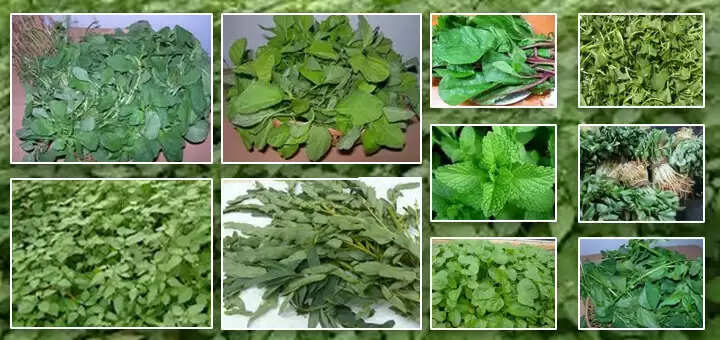 வாட்டியெடுக்கும் வெயில் பிரச்சினைகளை விரட்டியடிக்கும் பசலை கீரை