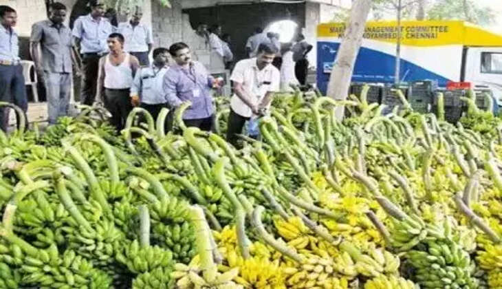 &ldquo;கலர் பூசப்பட்ட 250 கிலோ பட்டாணி, 40 டன் வாழைப்பழம்&rdquo; : கோயம்பேடு மார்க்கெட்டில் நடந்த அதிரடி சோதனையில் அம்பலம்!