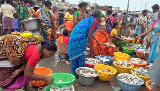 காசிமேடு மீன்பிடி தளத்தில் இன்று முதல் சில்லறை விற்பனைக்கு தடை!