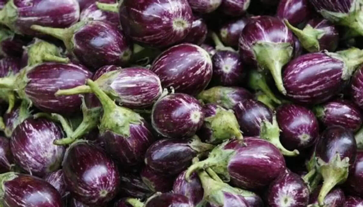 கத்தரிக்காய்.