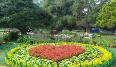  மலர் கண்காட்சி