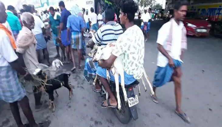   ஆடு விற்பனை!