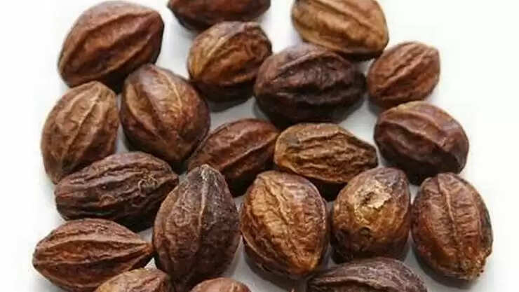 நம்மை கடுகடுப்பாய் மாற்றும் எந்தெந்த நோய்களை கடுக்காய் பொடி குணமாக்கும் தெரியுமா?