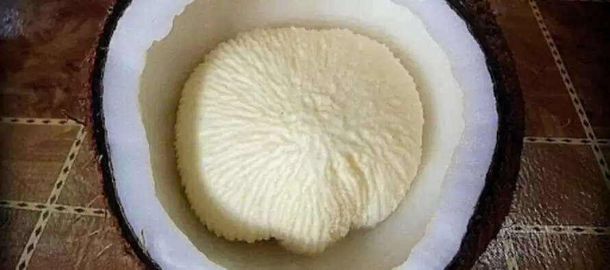 தைராய்டு பிரச்னைகளுக்கு முற்றுப்புள்ளி வைக்கும் தேங்காய் பூ!