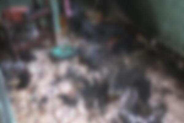 கள்ளக்காதலை கண்டித்த மகனை பெட்ரோல் ஊற்றி கொளுத்திய கொடூர தாய்!