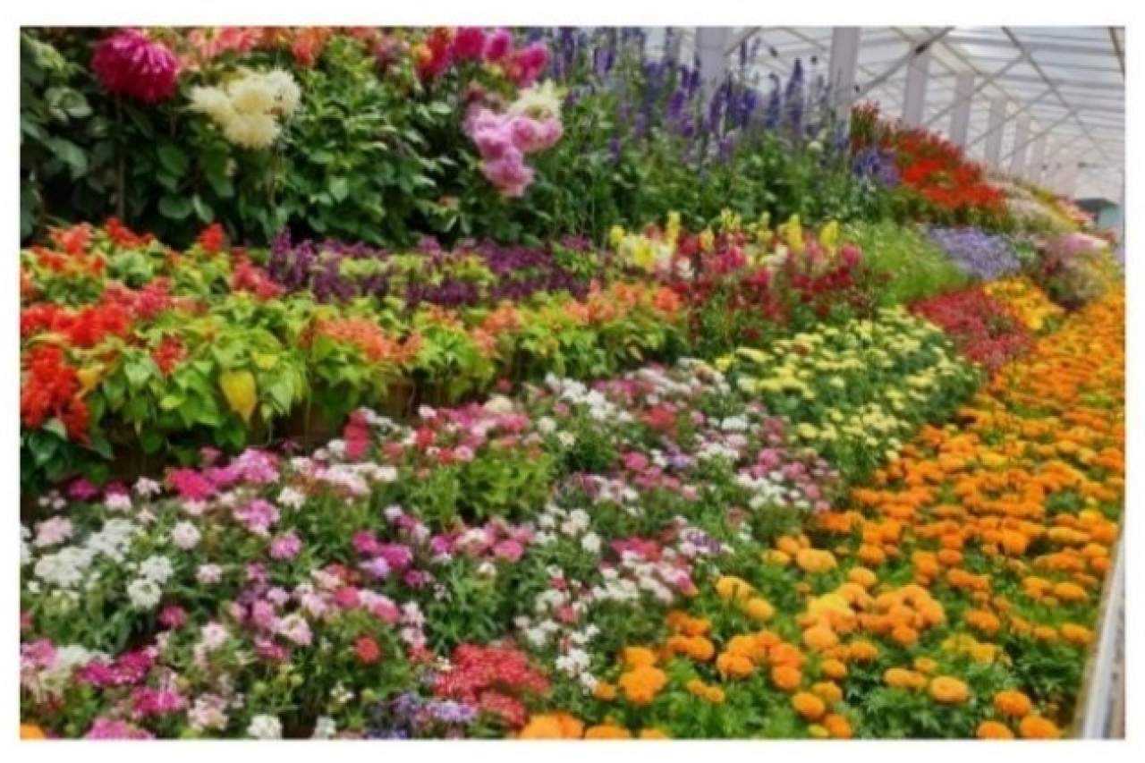 2 நாட்களில் ஊட்டிக்கு 1 லட்சம் சுற்றுலாப் பயணிகள் வருகை..