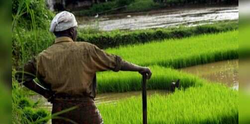 பாதுகாக்கப்பட்ட வேளாண் மண்டலத்தில் நிலக்கரி எடுக்க திட்டம்.. விவசாயிகள் எதிர்ப்பு..