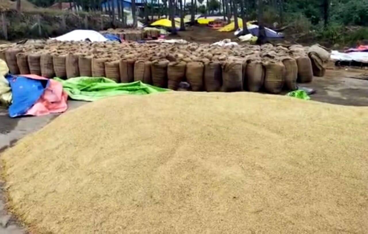 நெல்லுக்கான குறைந்தபட்ச ஆதார விலை, ஊக்கத்தொகை நாளை முதல் வழங்கப்படும் - தமிழக அரசு உத்தரவு..