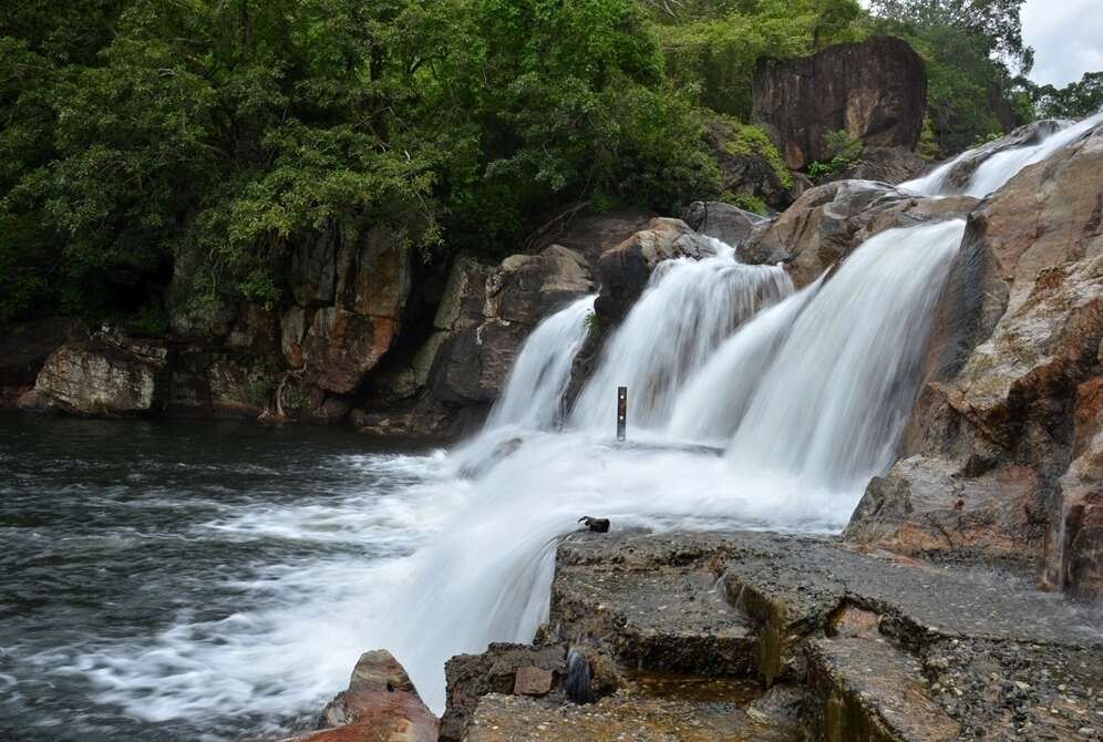 அருவிகளில் திடீர் வெள்ளப்பெருக்கு ஏற்பட வாய்ப்பு! நெல்லை ஆட்சியர் எச்சரிக்கை