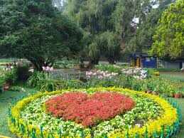 மே 16-ஆம் தேதி முதல் உதகை மலர் கண்காட்சி தொடக்கம்