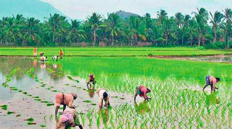 பட்ஜெட் 2022 : நதிநீர் இணைப்பு, இயற்கை விவசாயம் என விவசாயிகளுக்கான முக்கிய அறிவிப்புகள் ..