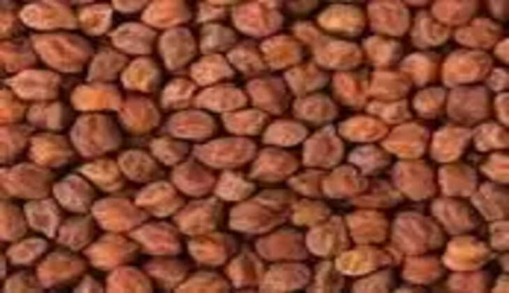 black kondai kadalai