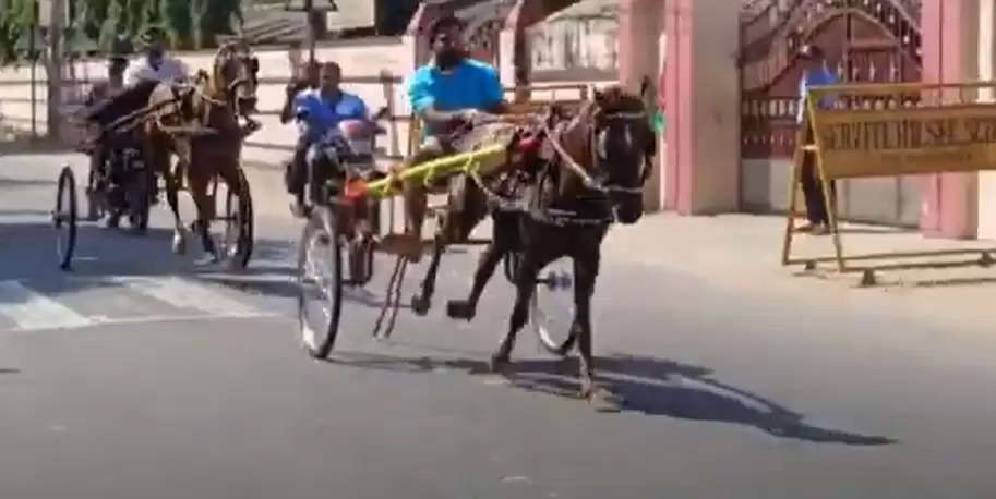 HORSE REKLA AT KARAIKAL karaikal carnival special
