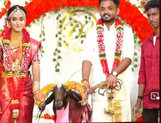 தங்கைக்கு வினோத சீர்வரிசை வழங்கிய அண்ணன்.. மானாமதுரையில் நெகிழ்ச்சி..