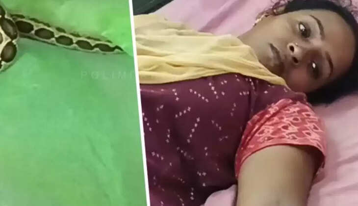 பாம்பு