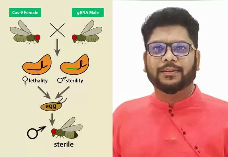 Sterile Insect Technique