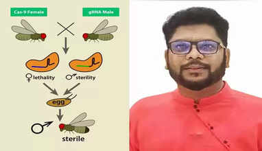 Sterile Insect Technique