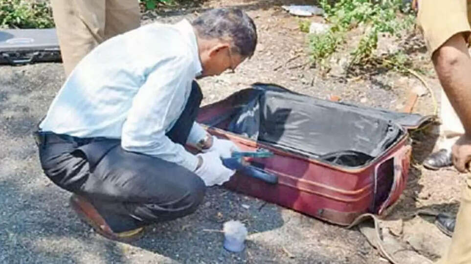 சூட்கேஸில் உடல் பாகங்கள்