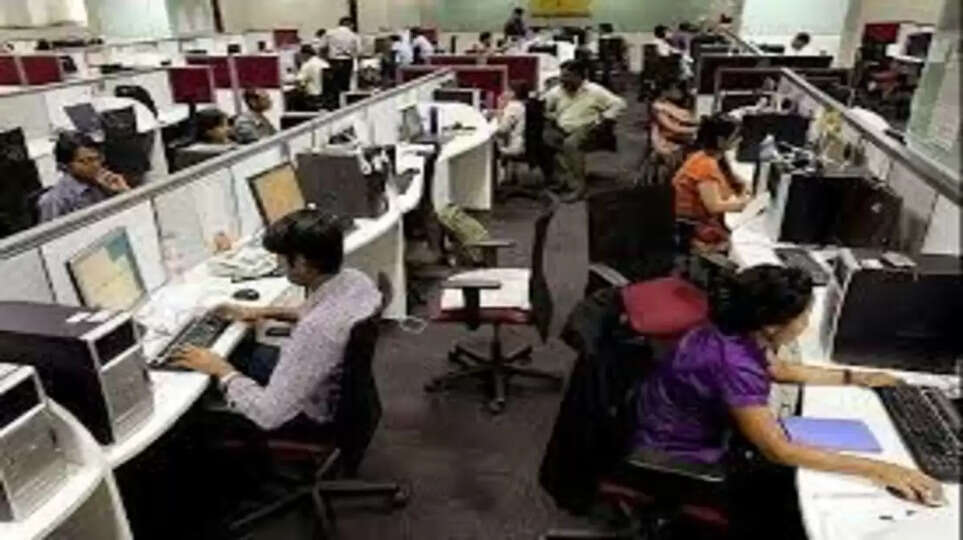 ஐ.டி. துறை பணியாளர்கள்