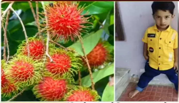 ரம்புட்டான் பழ விதை தொண்டையில் சிக்கி 5 வயது சிறுவன் பலி..!!