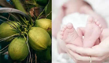 தேங்காய் விழுந்து 6 மாத குழந்தை பலி