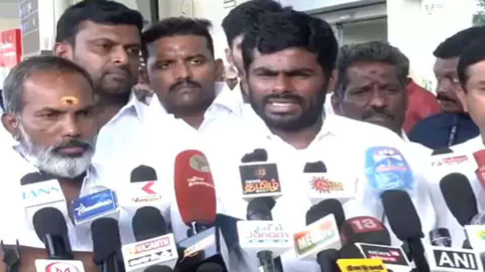 திருமாவளவன் குழப்பத்தில் இருக்கிறார்: அண்ணாமலை