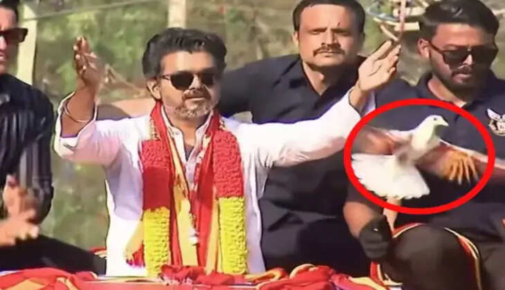 தேர்தல் முடிந்தும் விஜயை விடாமல் விரட்டும் சர்ச்சை