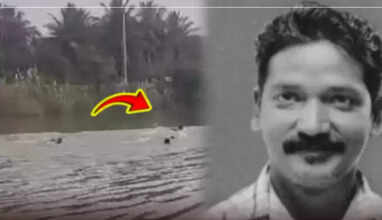 நீச்சல் 